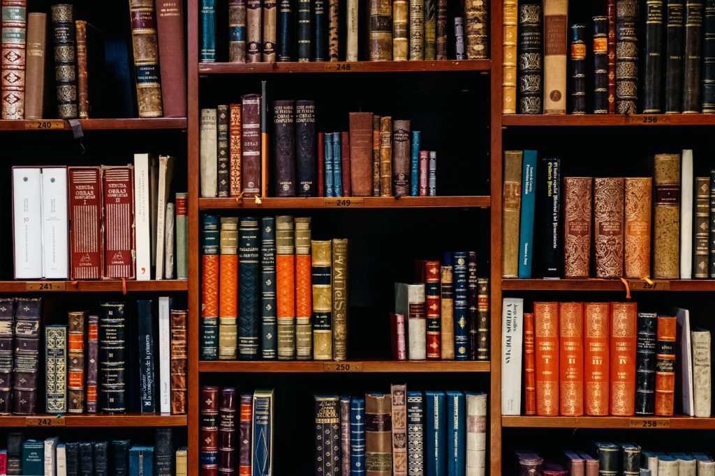 Inaki del olmo 602632 unsplash