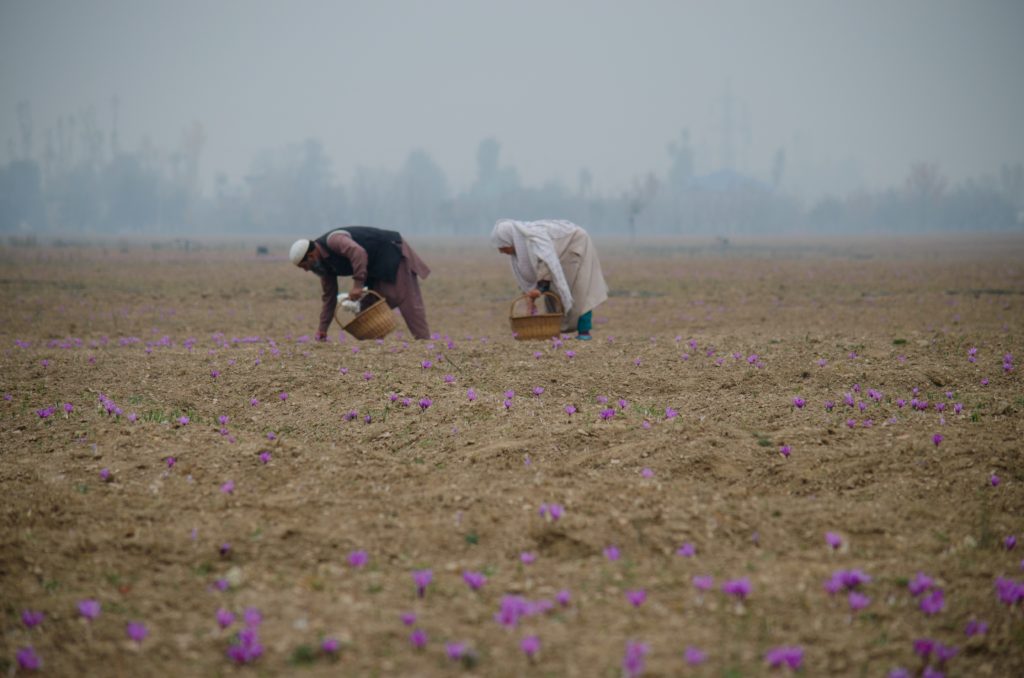 Arka roy 1183428 unsplash