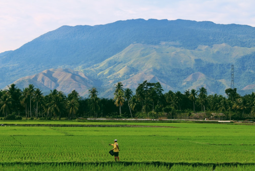 Person Contrast With Mountain