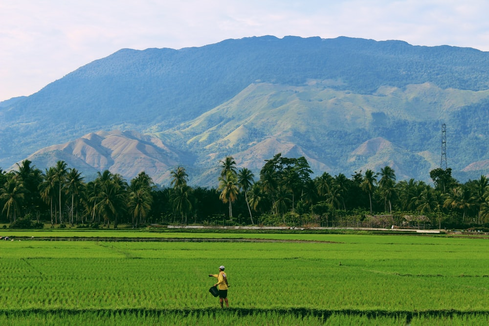 Person contrast with mountain