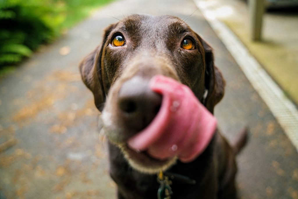 Photo by james barker on unsplash