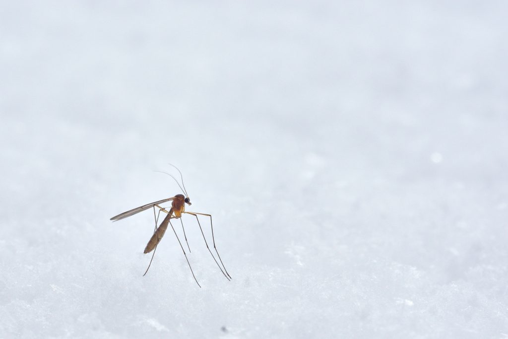 Wolfgang hasselmann nzgpg4xyhjm unsplash