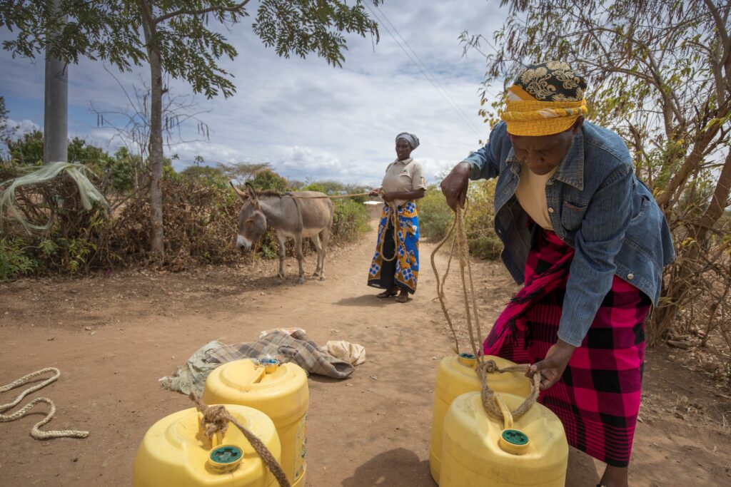 Kenyan woman using ther donkys to carry heavy jerry cans of water brooke