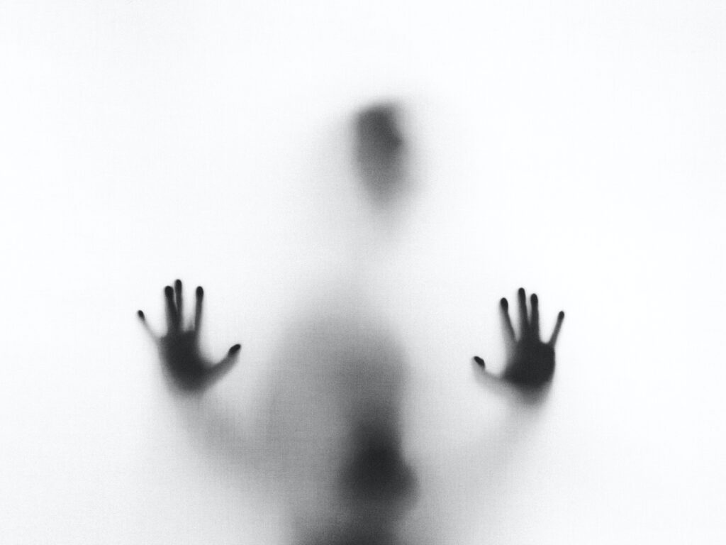 Stefano pollio zc0ebdlc8g0 unsplash