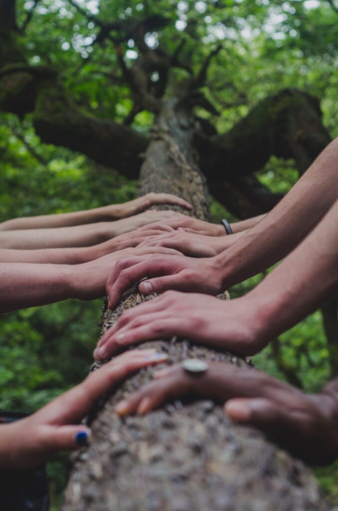 Shane rounce dnkonxqti3c unsplash